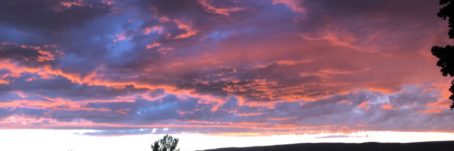 ashlynrowden's profile banner image