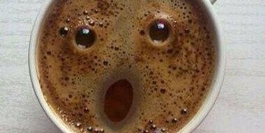 Knottebass's profile banner image