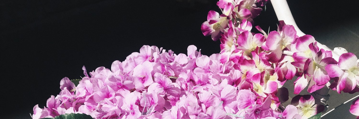 Bella Lightner banner