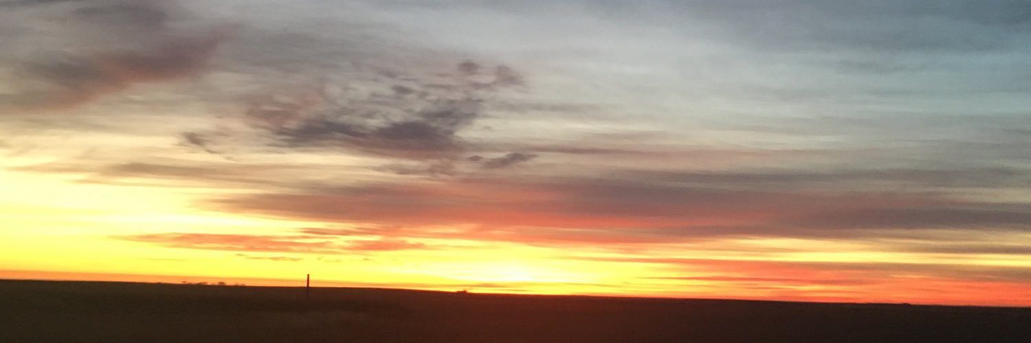 trishw331's profile banner image
