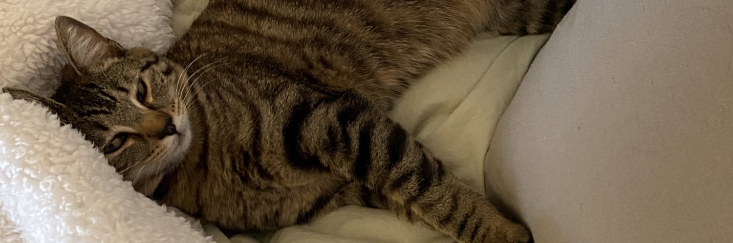 ashleysprad's profile banner image