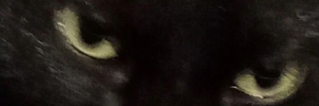 heartlessdine's profile banner image