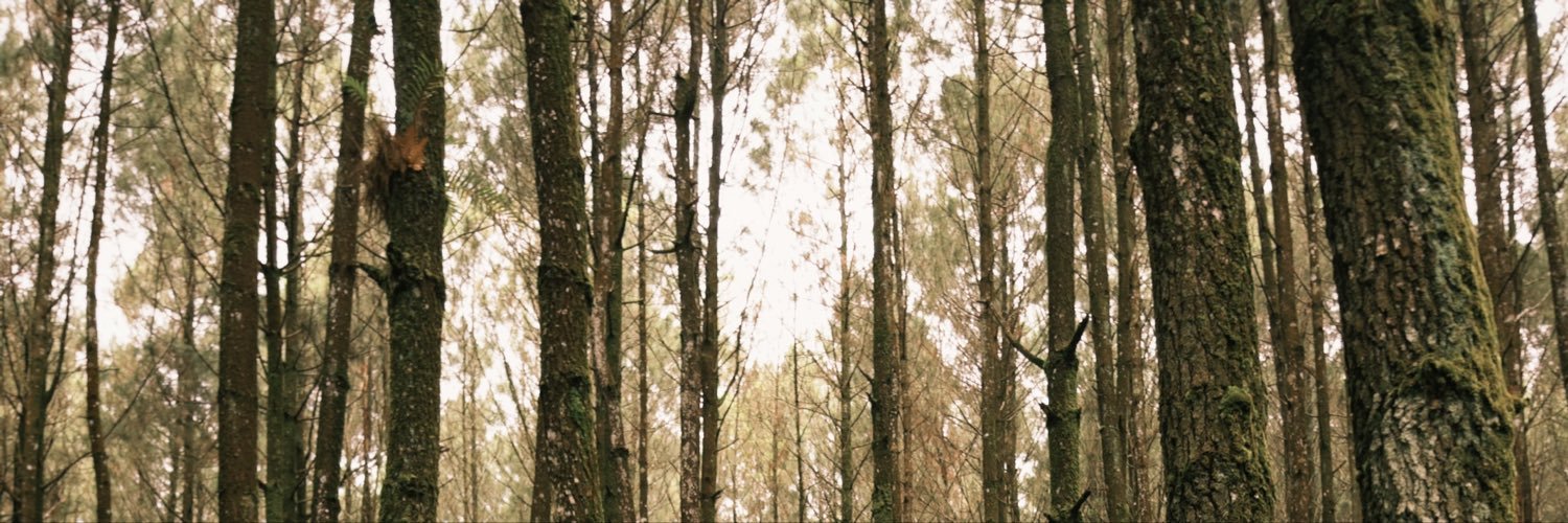 condrofvknchip's profile banner image