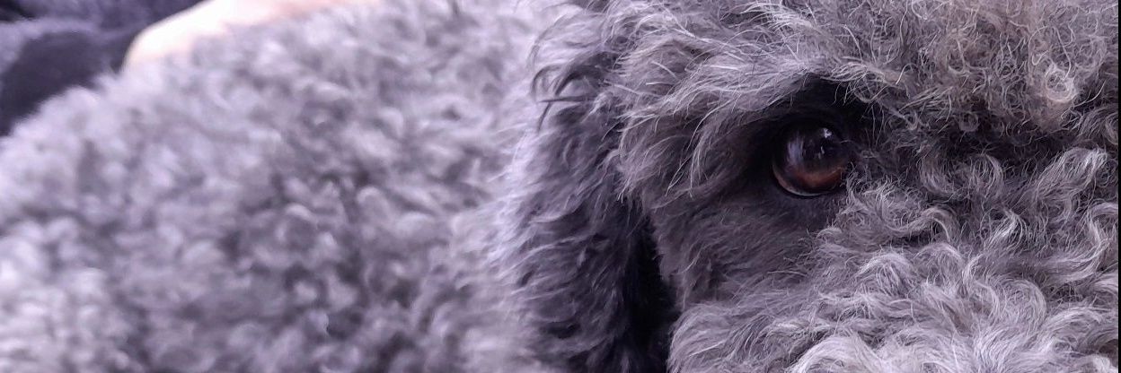Fa_Benitezzzz's profile banner image