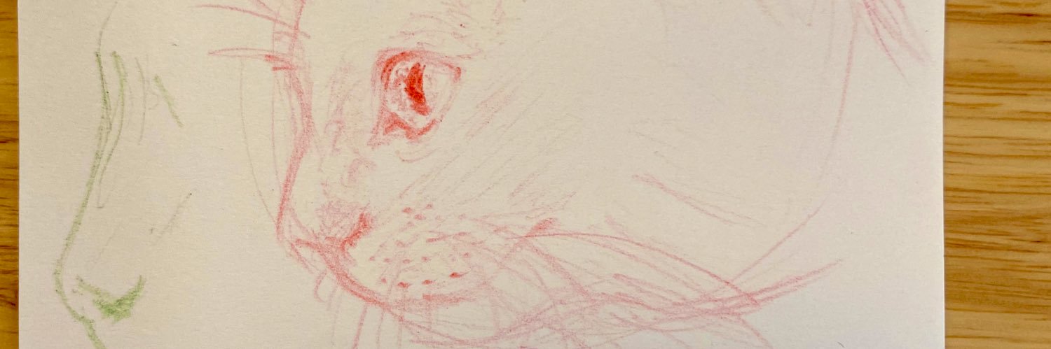 NicLcjManon's profile banner image