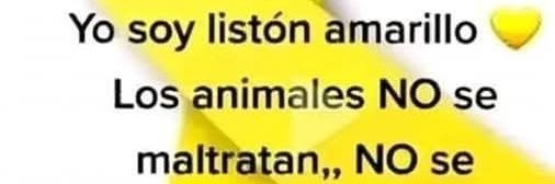 maritzamontn's profile banner image