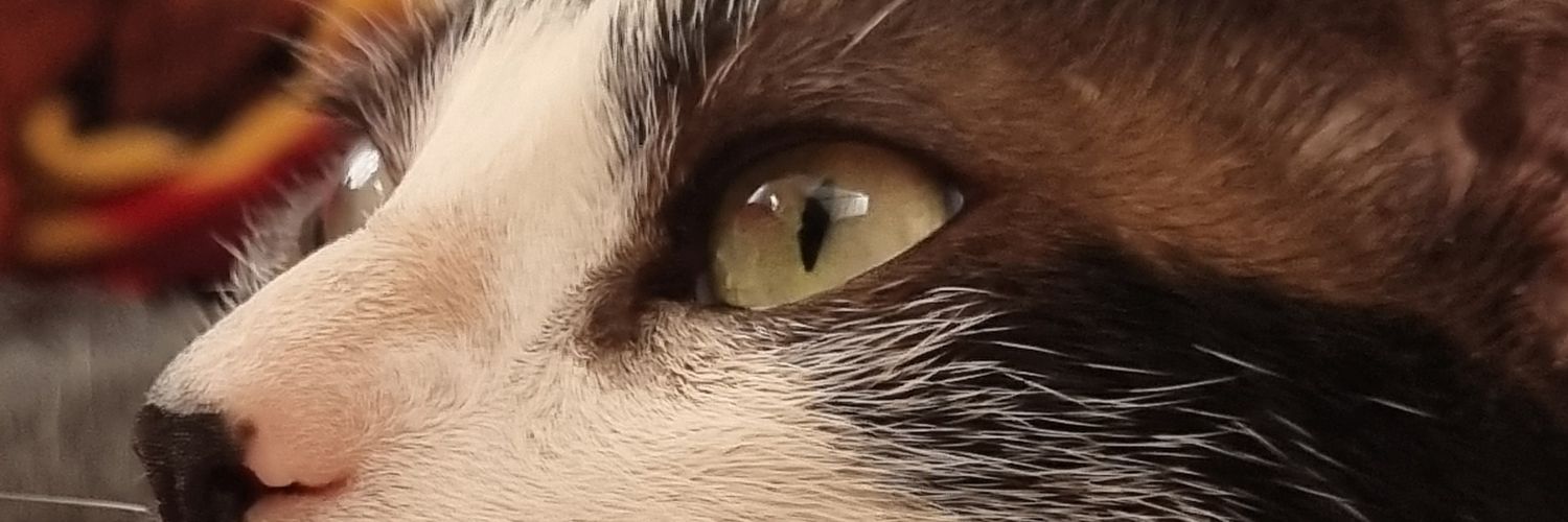 Lauramarbet's profile banner image