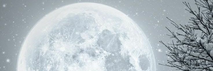 snowmoonfutsal's profile banner image