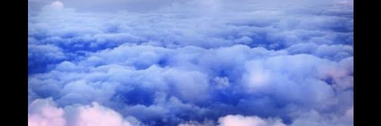 FlorVg95's profile banner image