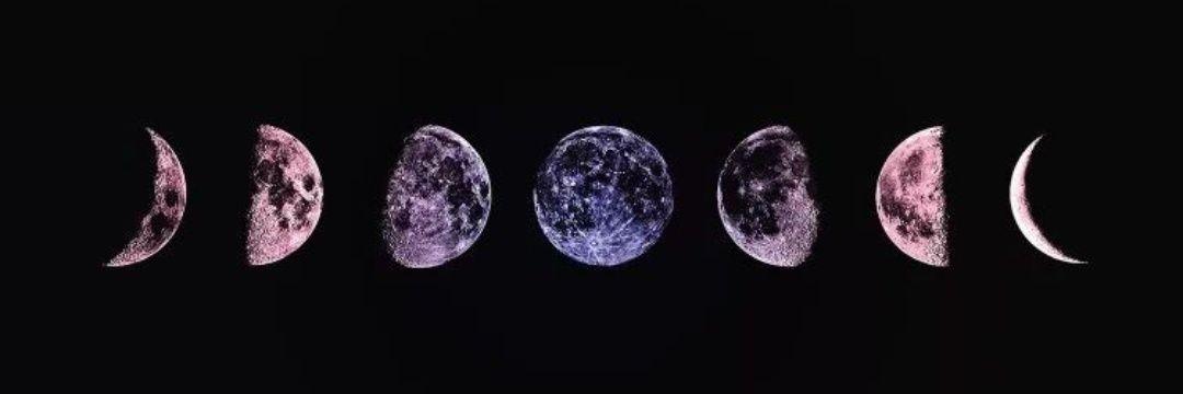 natasharampton's profile banner image