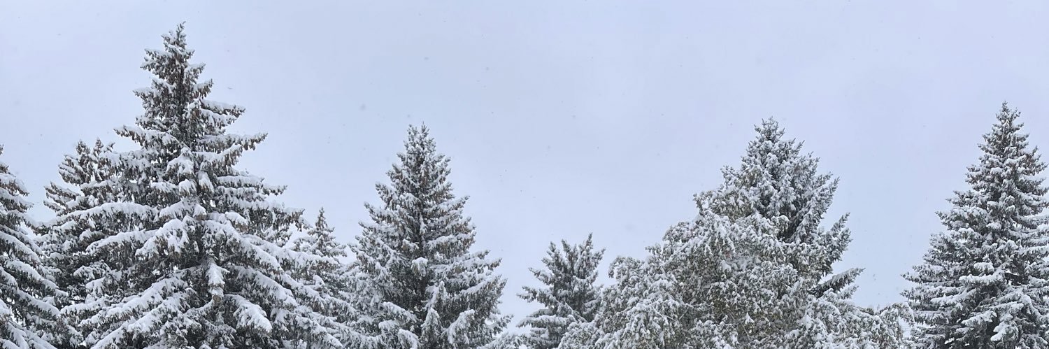 Plan Your Trade banner