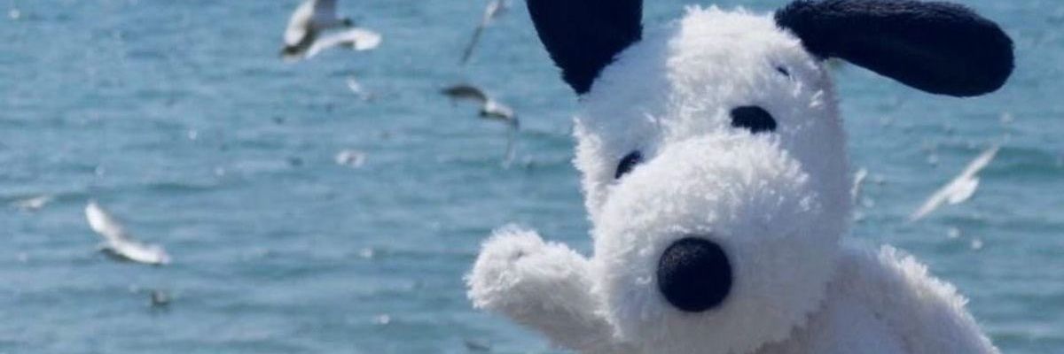 pump3dfud's profile banner image