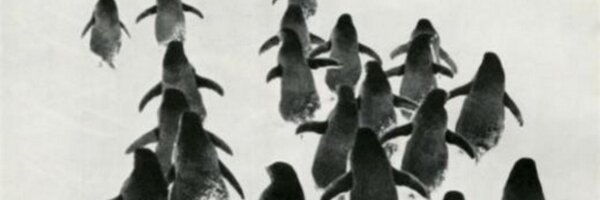 Jayenemi Profile Banner