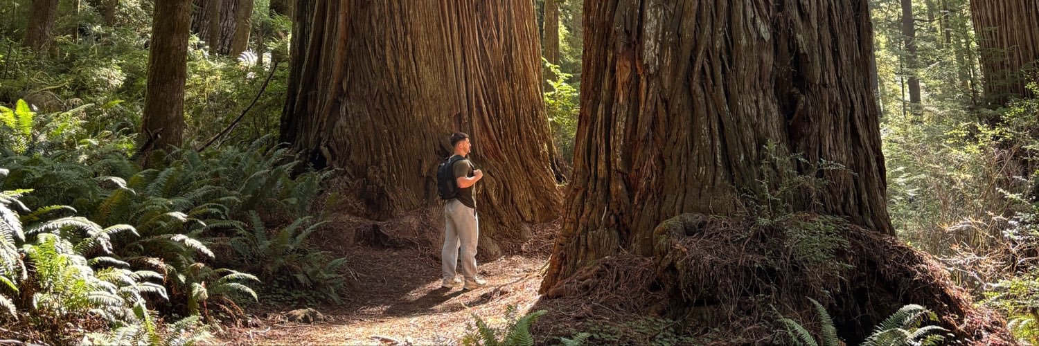 trevboom's profile banner image
