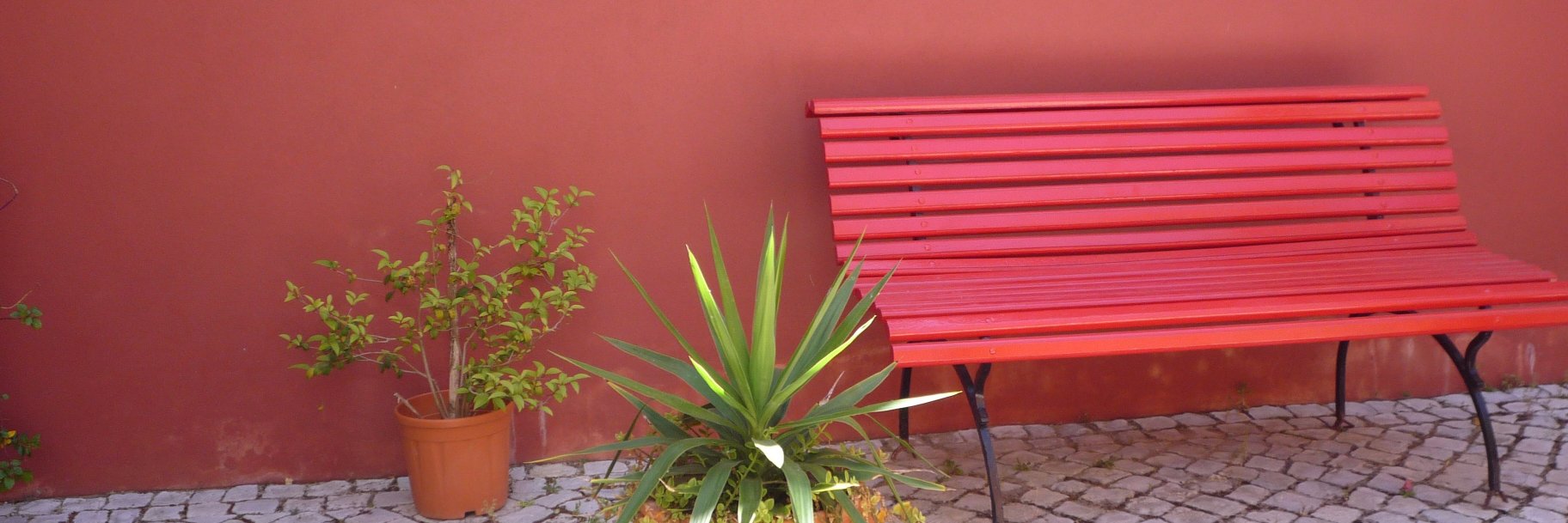 Susannah Hickling banner