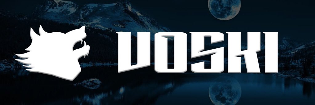 xVoski's profile banner image