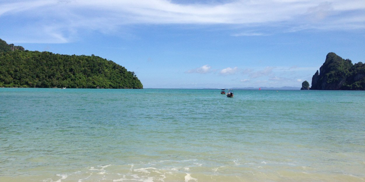 Lewis Somerville banner