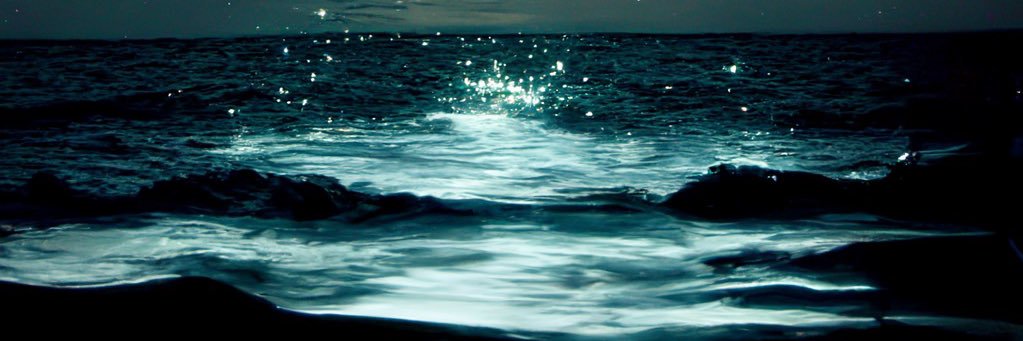 lamarielamar's profile banner image