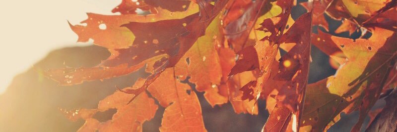 T_Hink's profile banner image