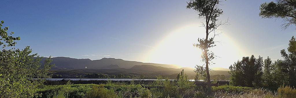 Alison Ludwig banner