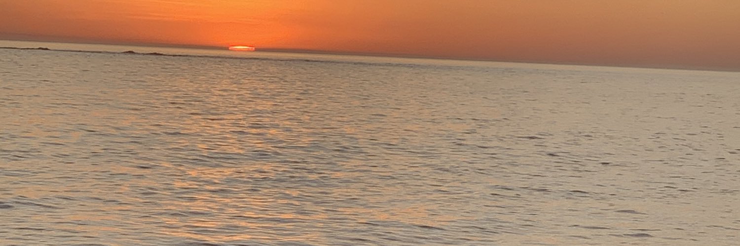 Andrés Ferrés banner