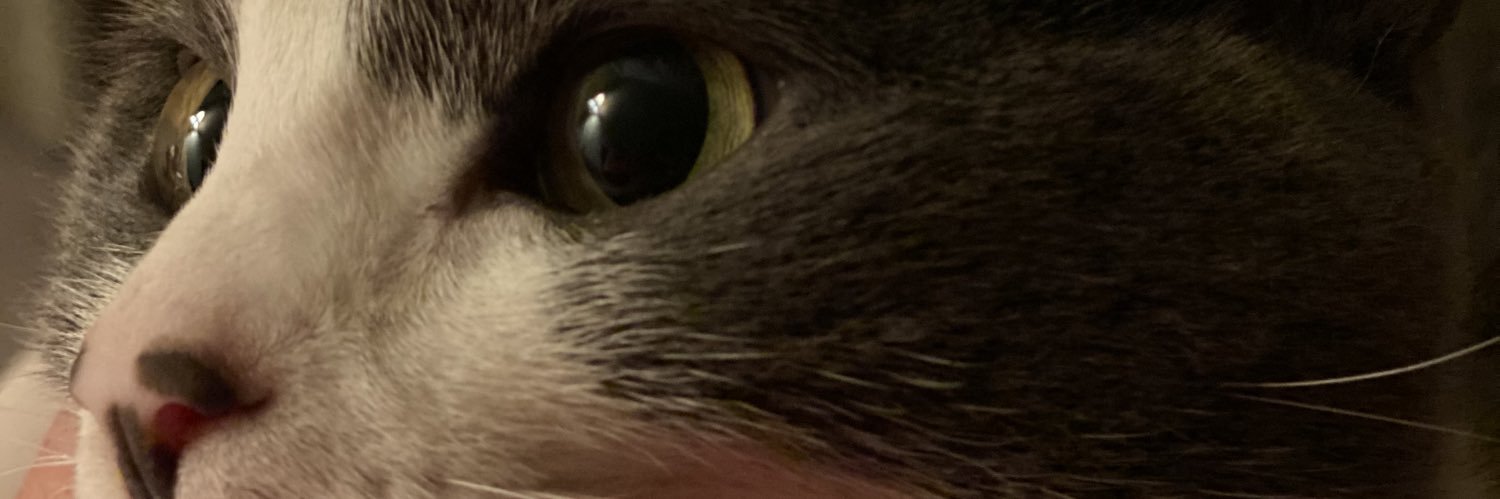 sesmithson82's profile banner image