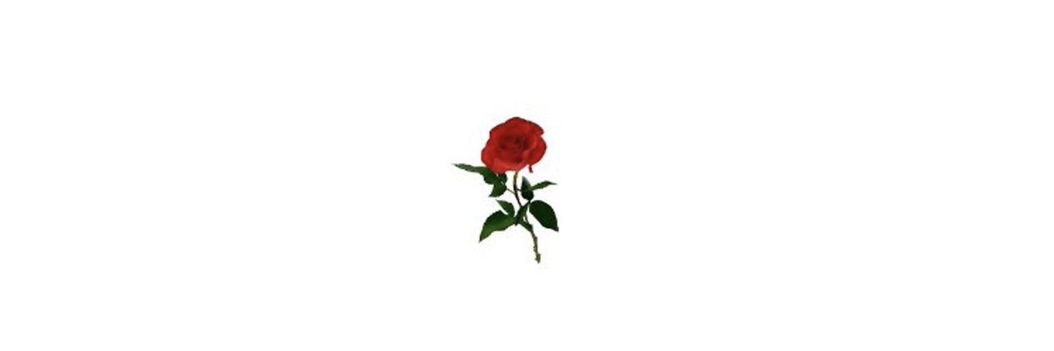 y_3588's profile banner image