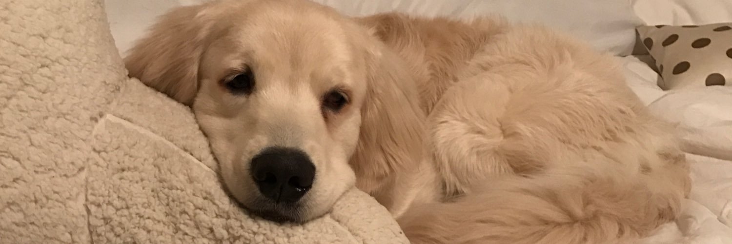 chloe_dunnn's profile banner image