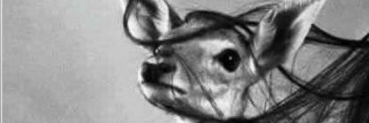 7ala_omre's profile banner image