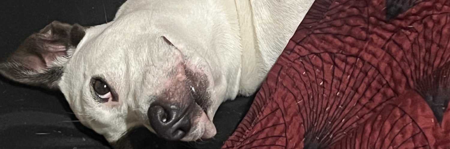 bbadman7's profile banner image