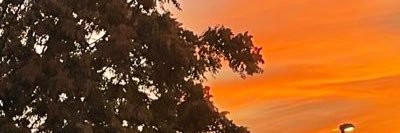 sxmadar_'s profile banner image