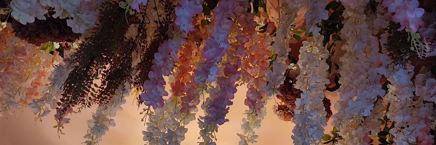 vane031's profile banner image