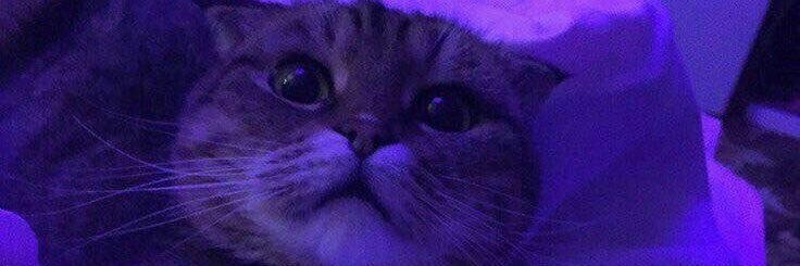 I’m G!! banner