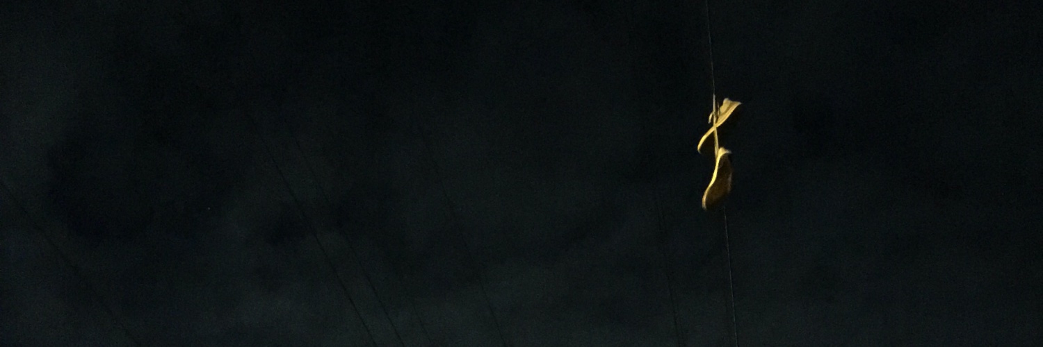 FiretotheStars1's profile banner image