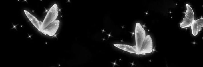 ⋆˖ ࣪⭑Isa ⋆.˚🦋༘⋆ banner