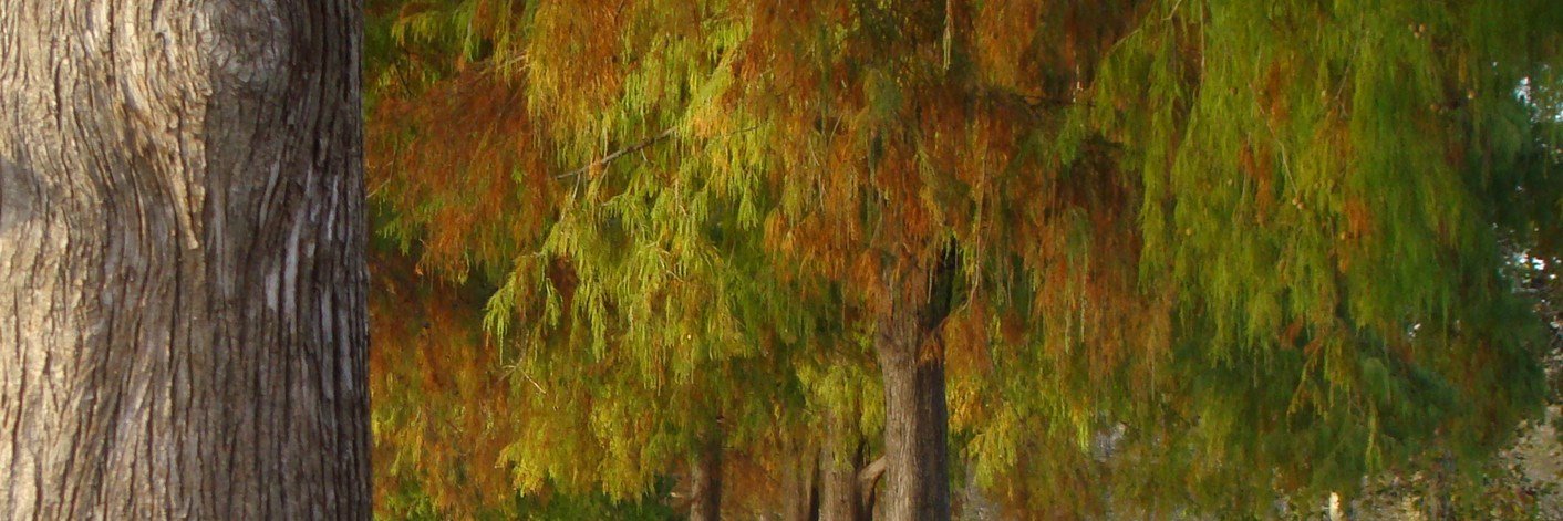 labidar's profile banner image