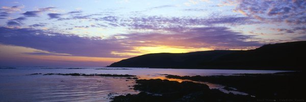 Barmecidic Profile Banner