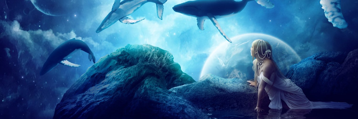 jima_jima53's profile banner image