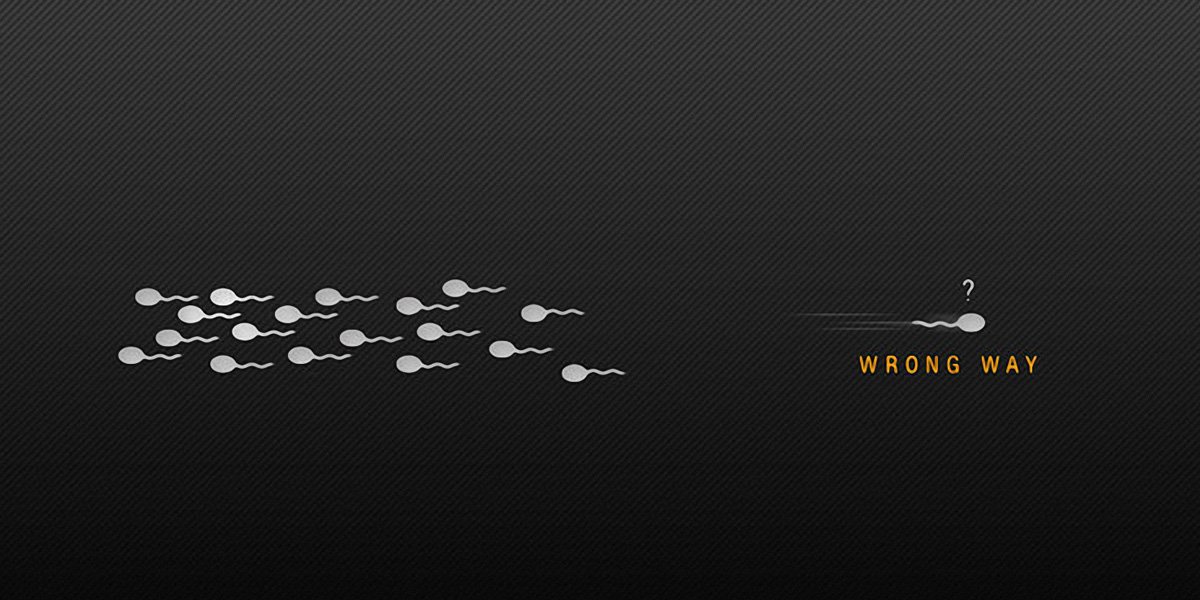 Arninz12's profile banner image
