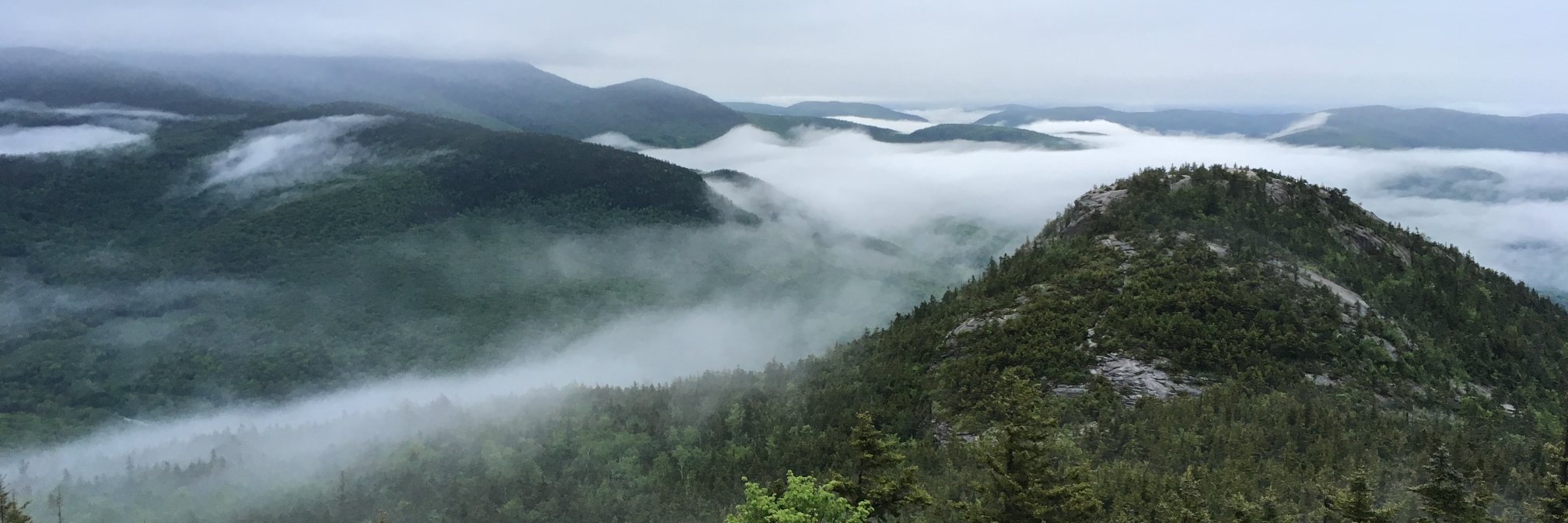 Christian Gompert banner