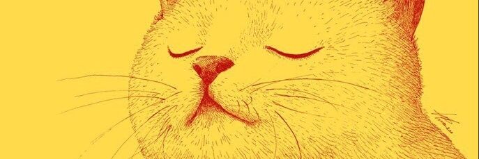 maxevrey's profile banner image
