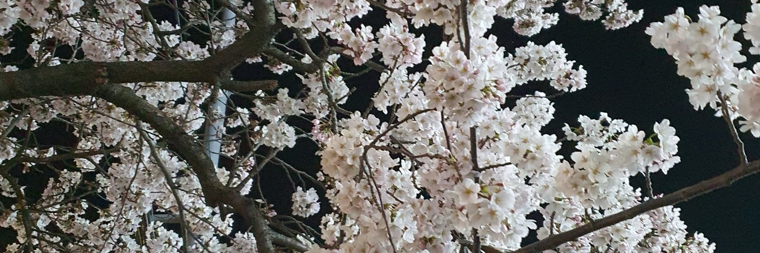 mandarin_kitten's profile banner image