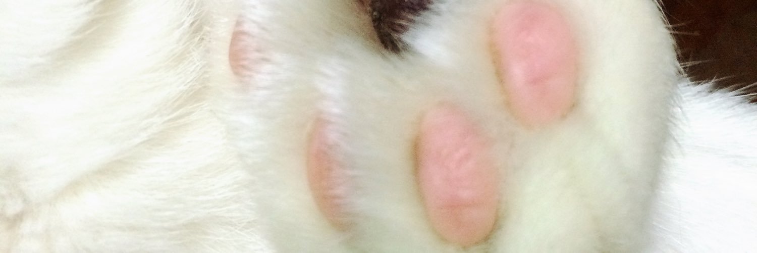 かっぺ banner