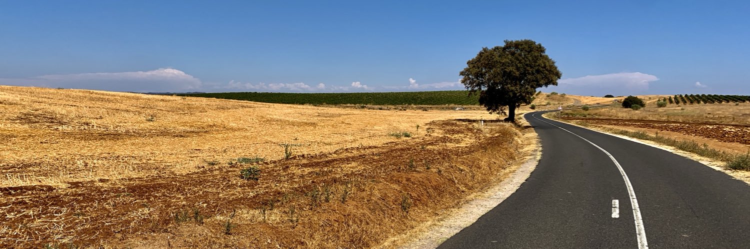 valterjcaetano's profile banner image