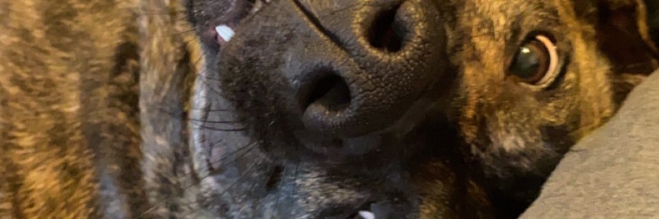 madisengarner's profile banner image