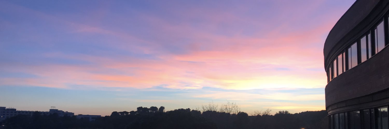 SaraDandreano's profile banner image