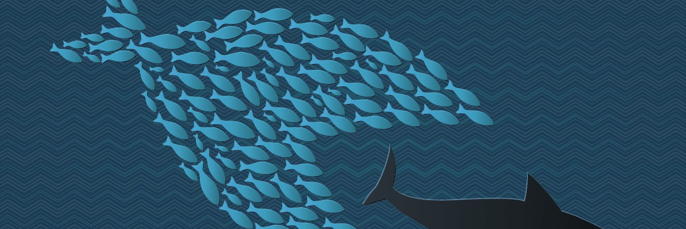 Charlotte Slaiman banner