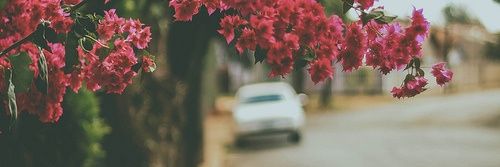 DR4W_ME_22D's profile banner image