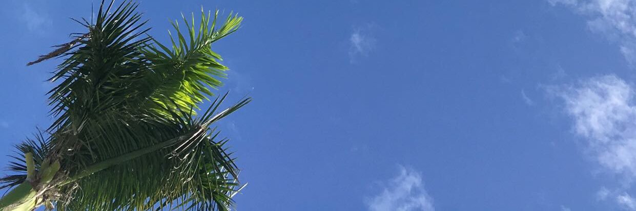 ashlonn's profile banner image