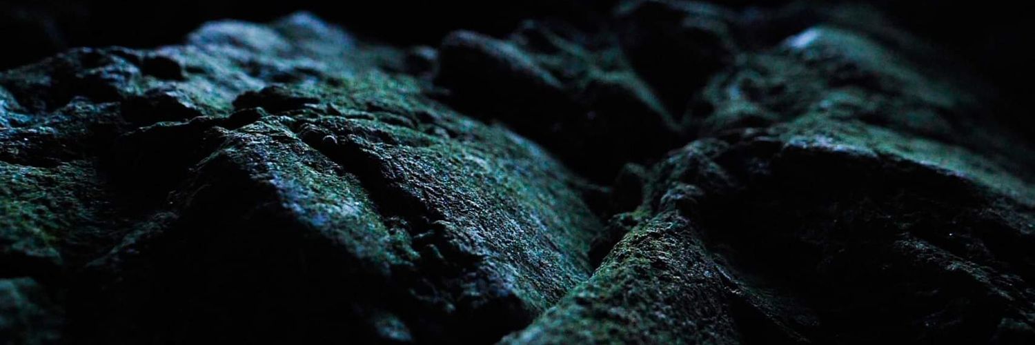 W0mbibat's profile banner image